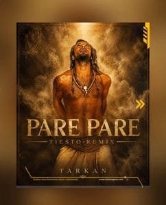 Pare Pare Tiesto remix