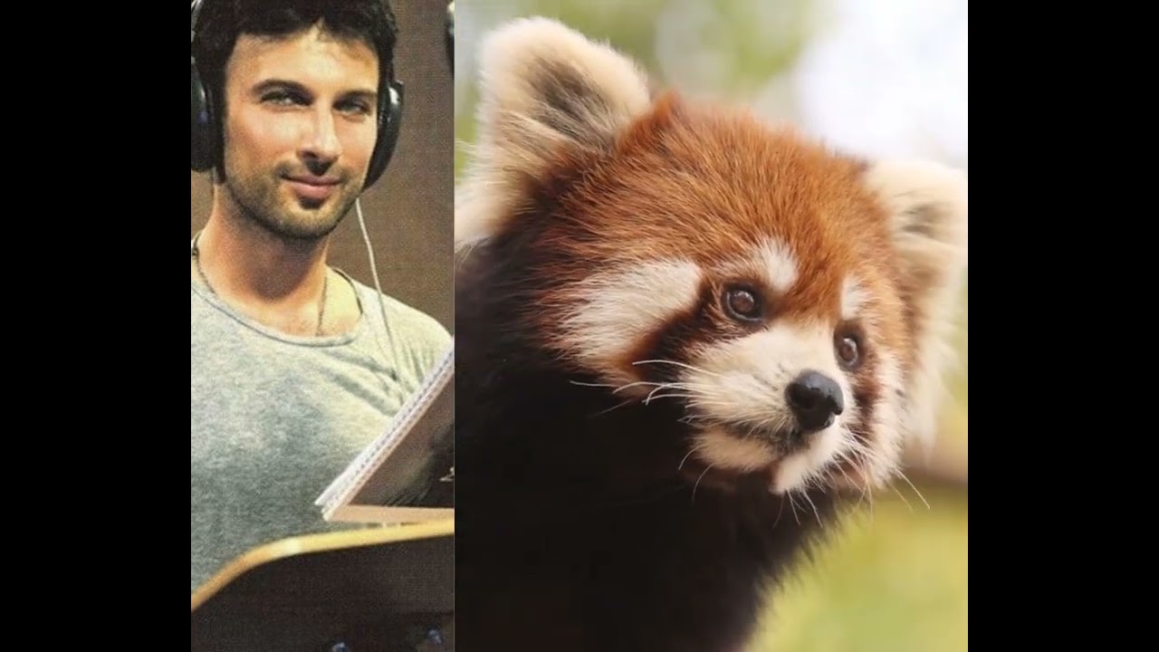 youtube placeholder image