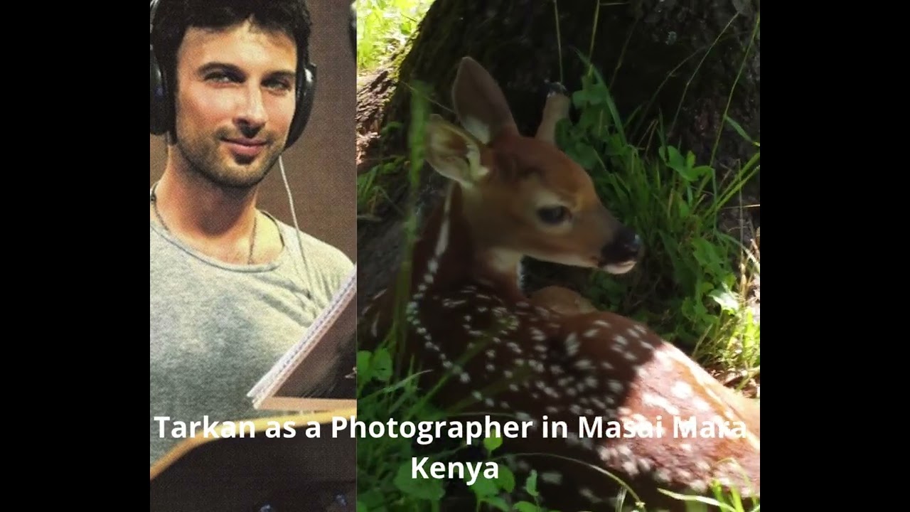 youtube placeholder image